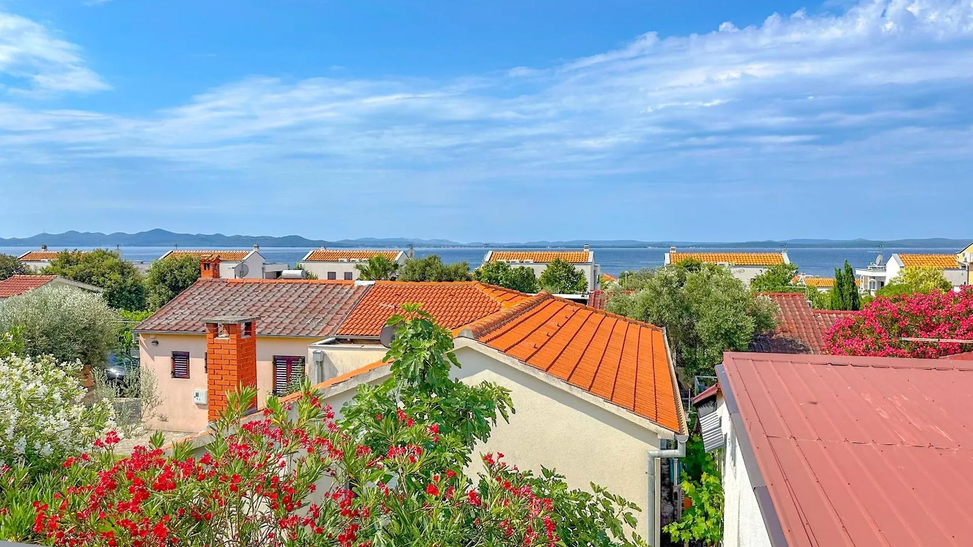 Apartment Sara Punta Skala